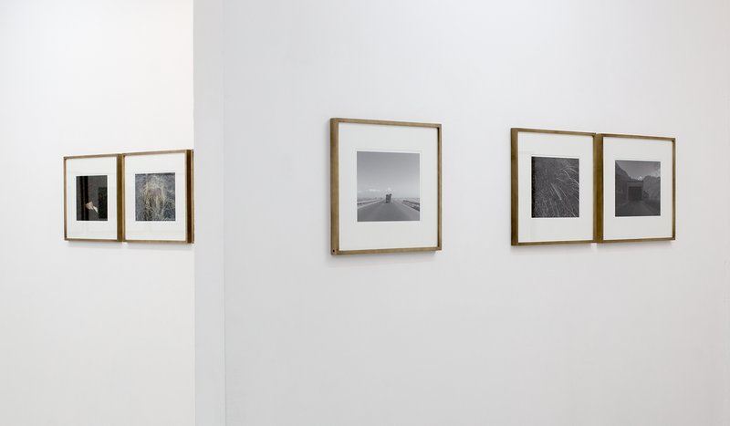 On Mohsen Shahmardi's Solo Show at Emkan Gallery