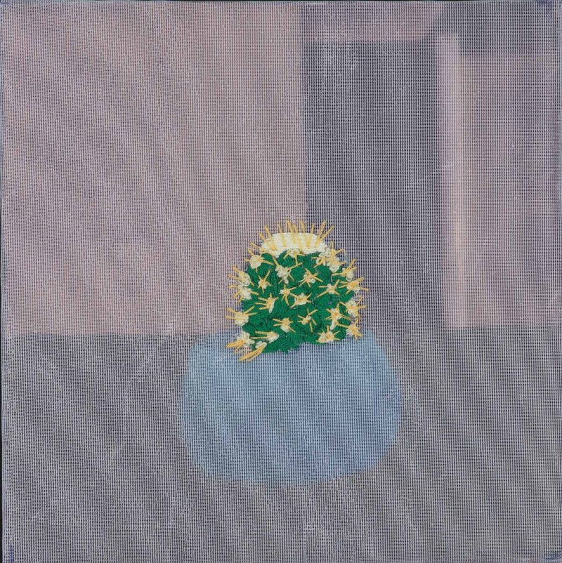 Ayda Salami, Untitled, 0