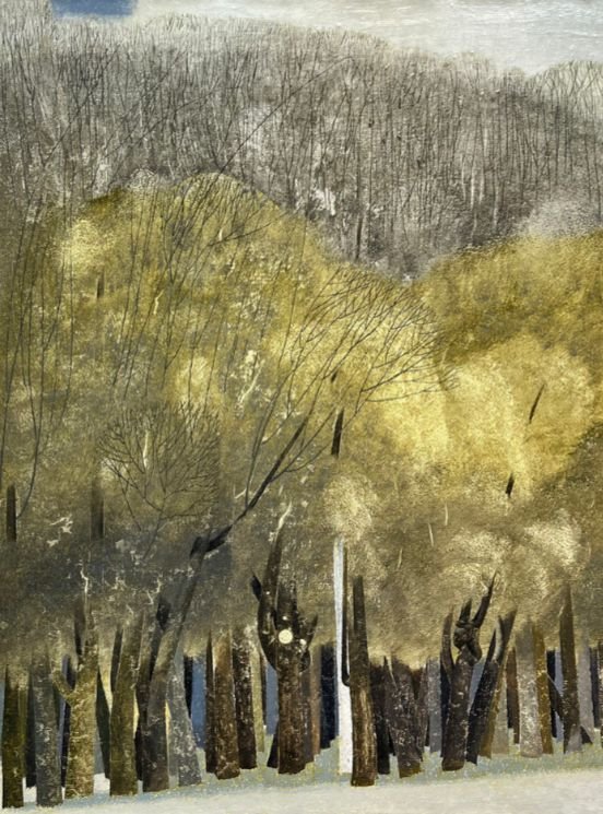 Rezvan Sadeghzadeh, Untitled, 0