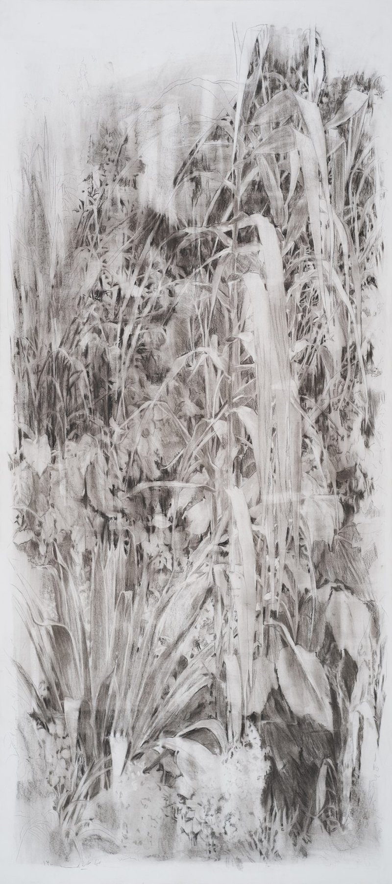 Mina Ghaziani, Untitled, 2021