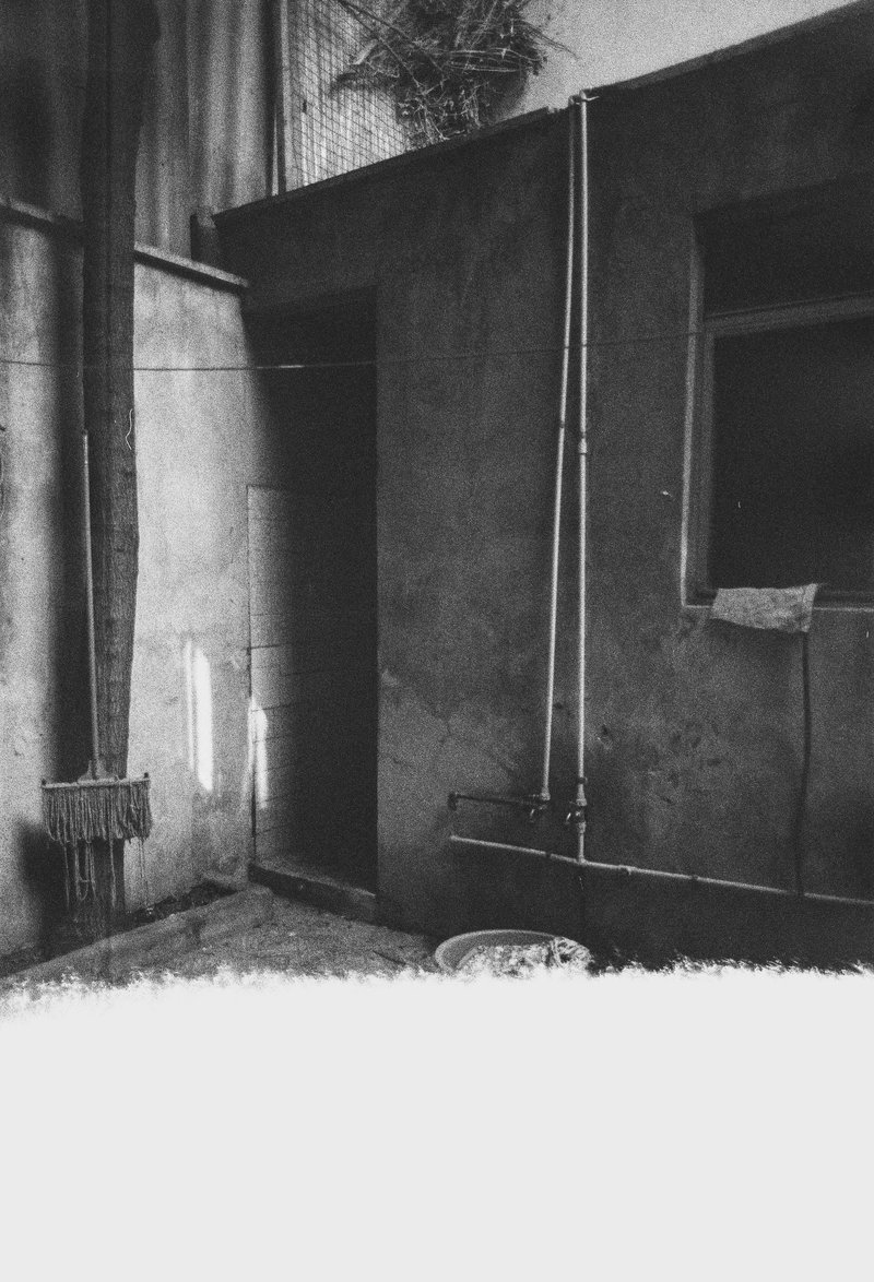 Narges Ranjbar, Untitled, 2024