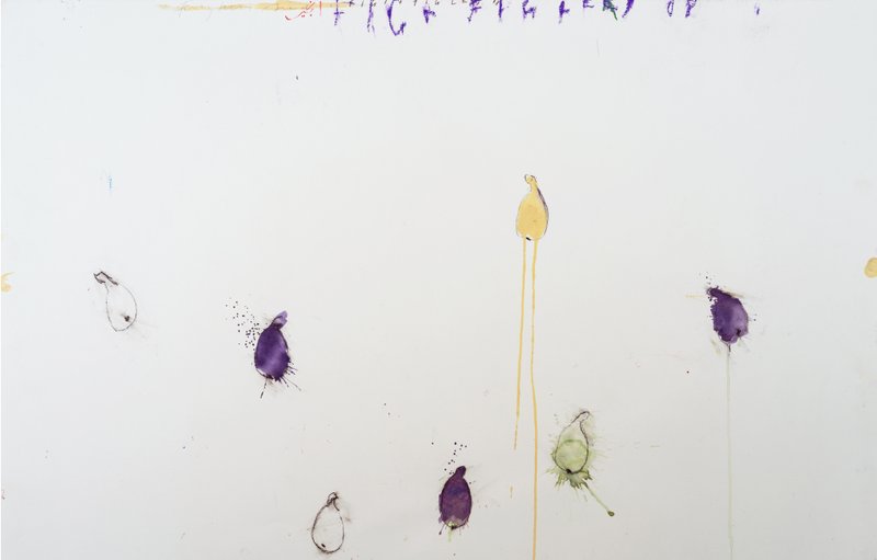 Fereydoun Ave, Fig and the Fig Leaf, 2008