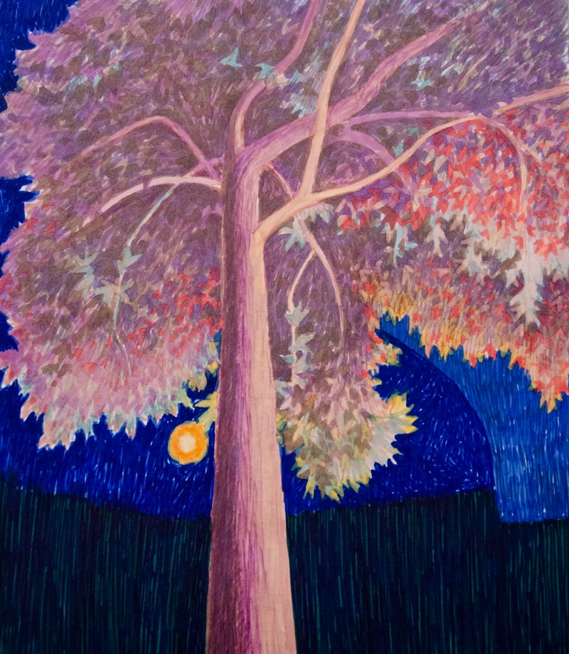 Anahita Darab Beigi, Untitled, 2022