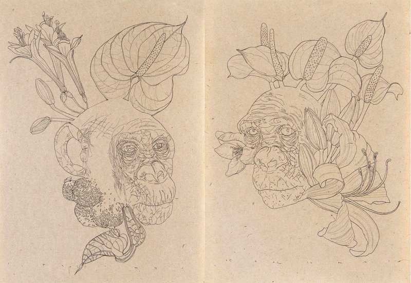 Nahid Behboodian, Untitled, 2019