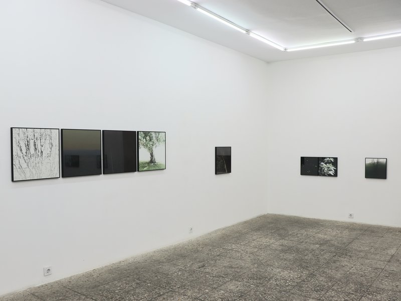 Pondering Upon You Anew? Being Pondered Upon Anew?, installation view