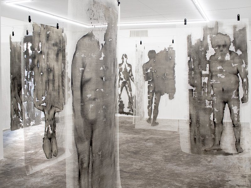 Hanged Roots, installation view