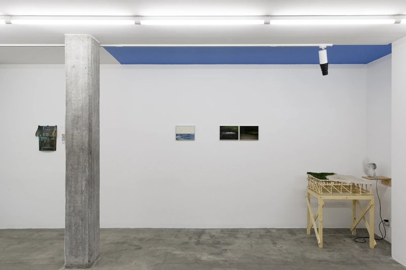 Nature of Things, installation view