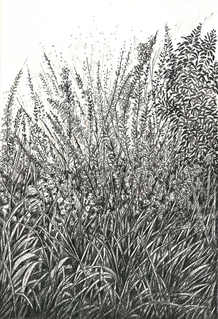Mahsa Arabzadeh, Untitled, 2021