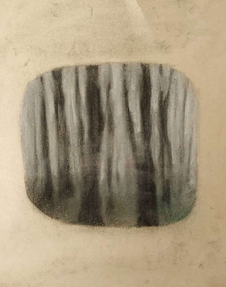 Amin Zeinnizadeh, Untitled, 2020