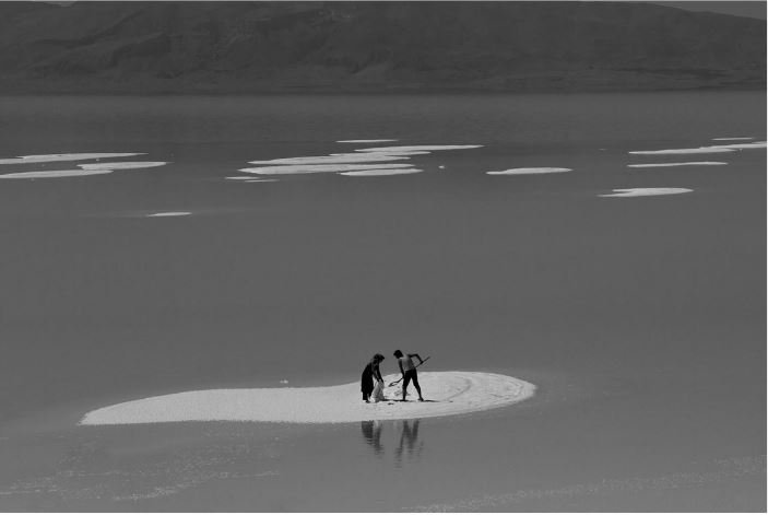 Romin Mohtasham, Untitled, 0