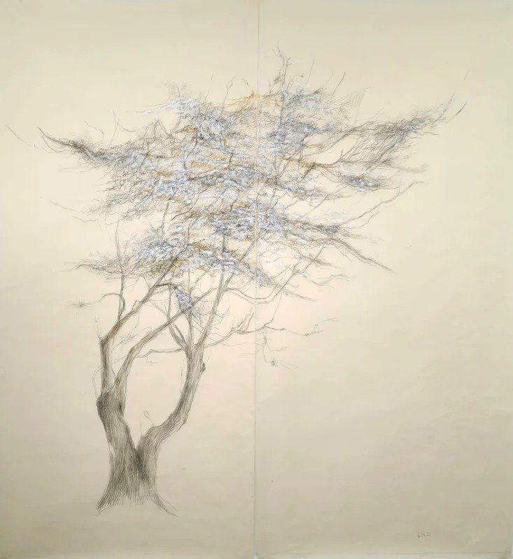 Avish Khebrezadeh, Dogwood, 2023