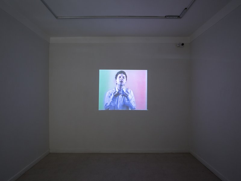 Sirous Telling Jokes, installation view