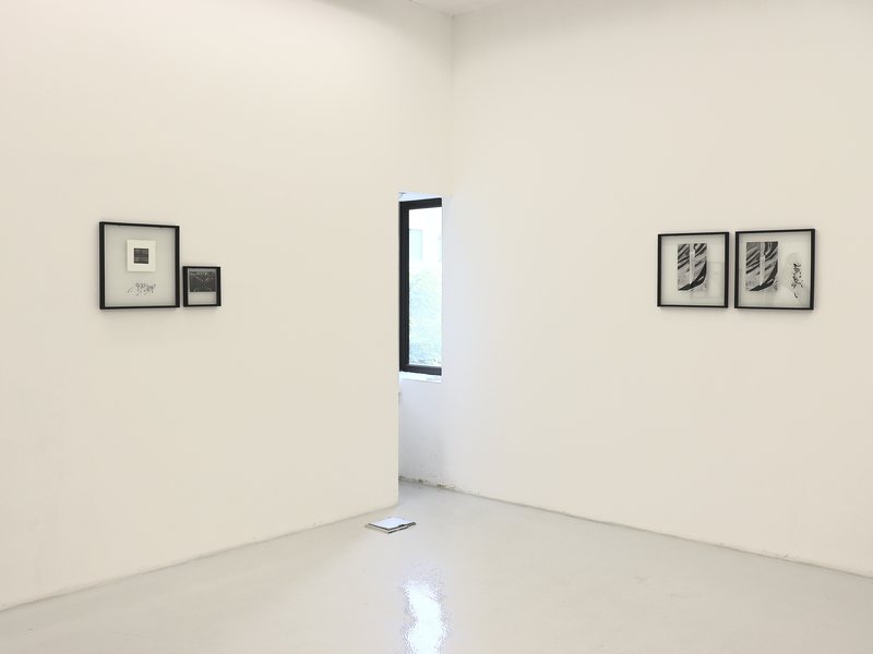 Choice, installation view