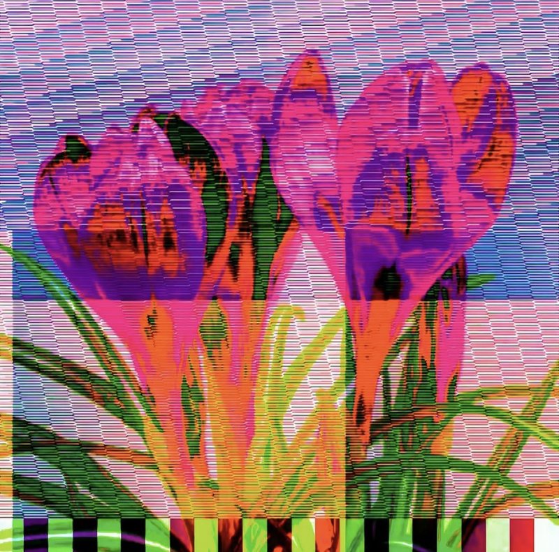 Ellie Pritts, Static Glitch Fleur V, 2023