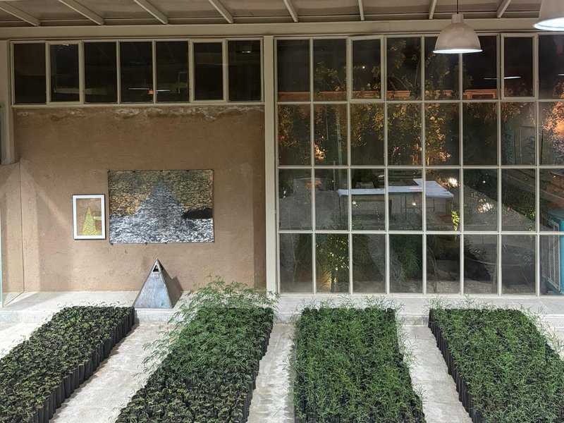 صحرا، صخره، صید، نمای چیدمان