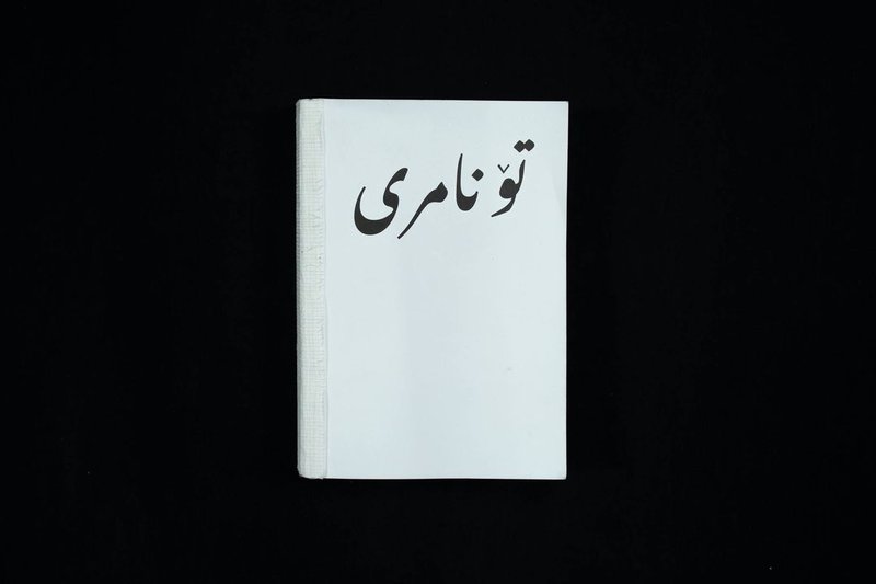 Ghazal Golshiri, Tu ne meurs pas, 2023