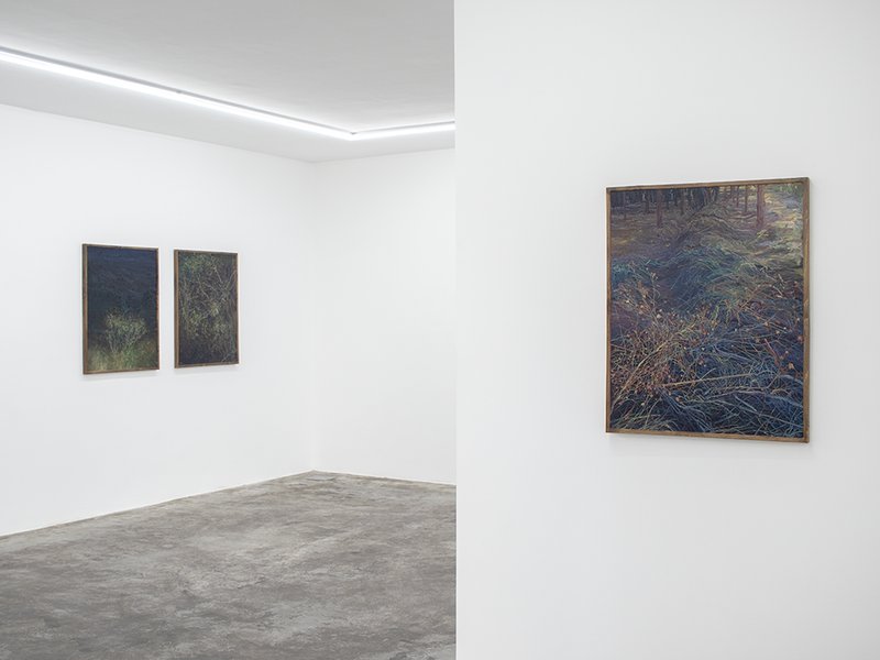 Shazdeh’s Garden, installation view