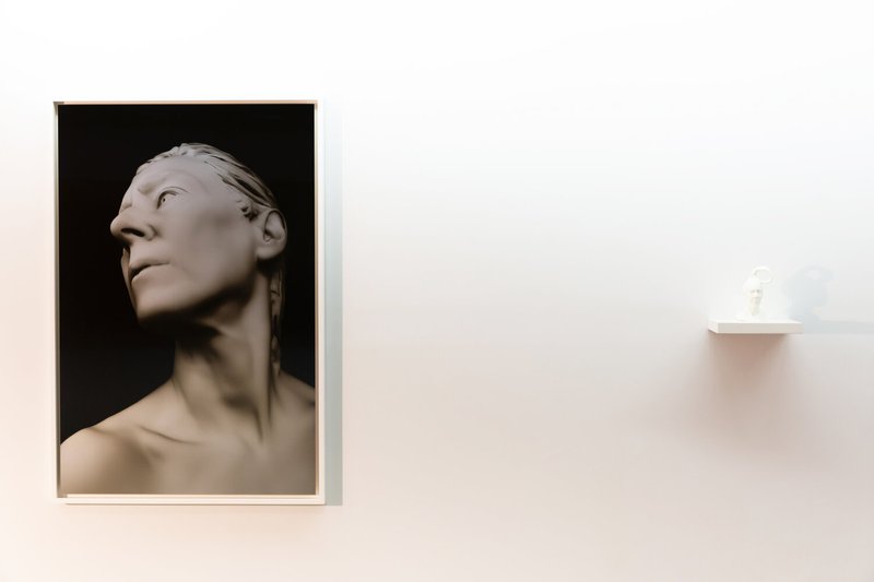 Freedom is an Act, installation view