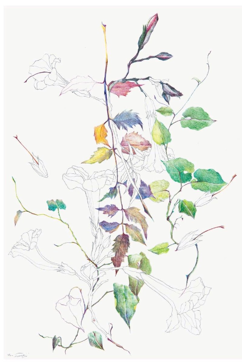 Nazila Moghadam, Untitled, 2021
