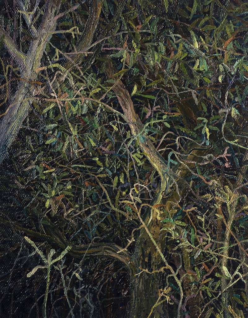 Saeed Khaleghi, Untitled, 2020