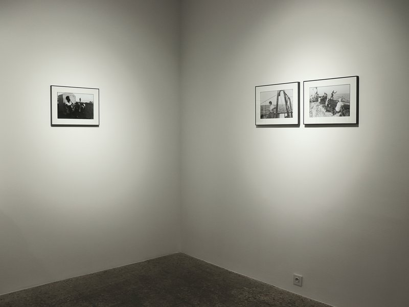 Southern Fisherman, installation view
