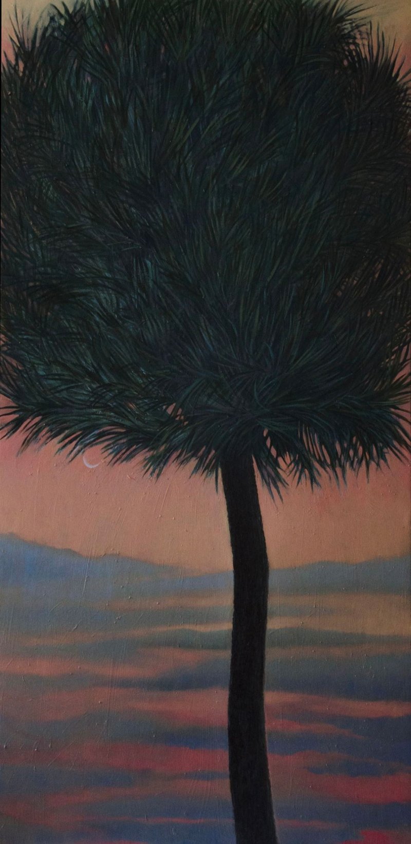 Anahita Darab Beigi, Dawn, 2022