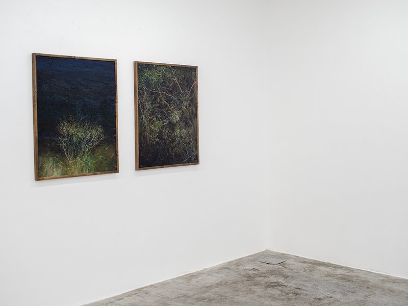 Shazdeh’s Garden, installation view