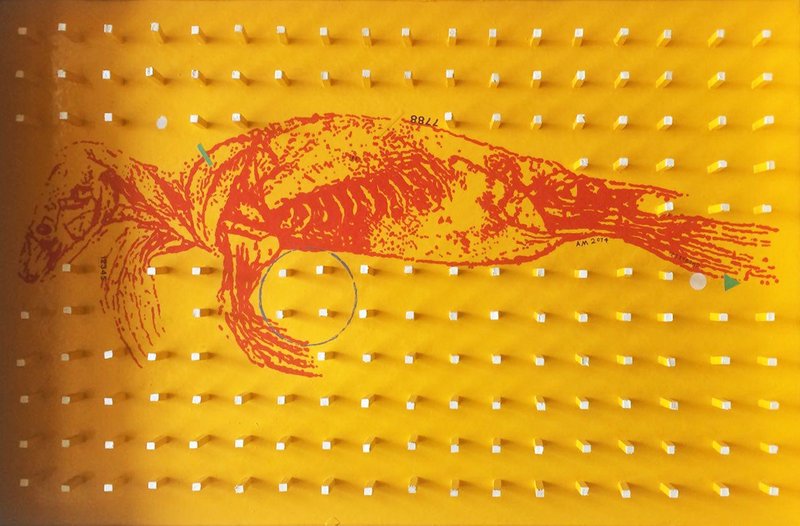 Hassan Amekan, Untitled, 2014