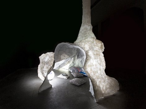Memebrain, Installation view.