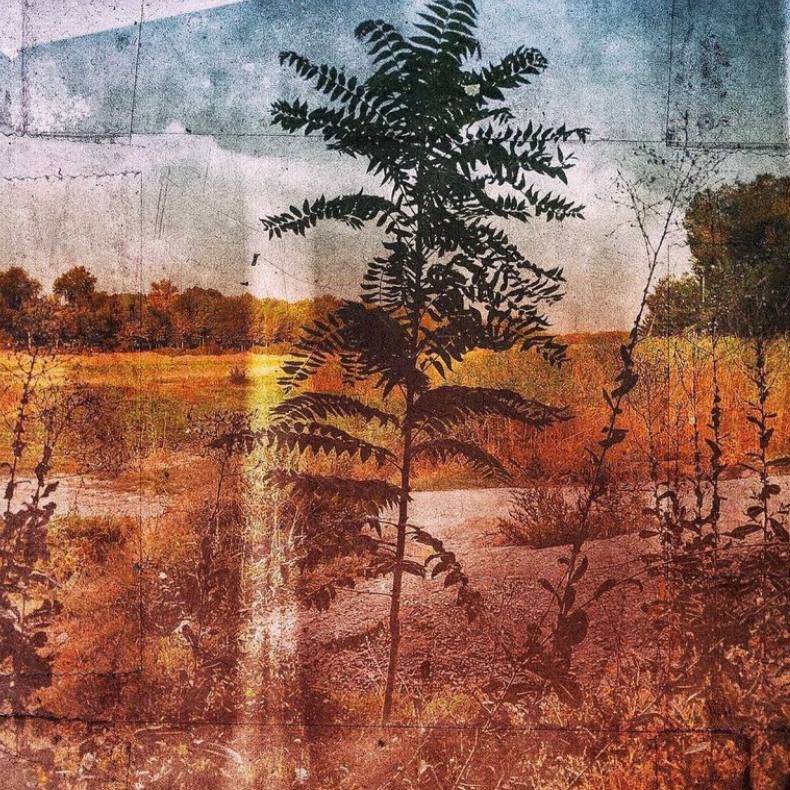 Landscape-Online Viewing