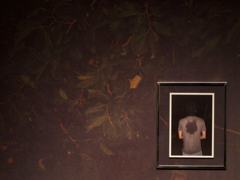 Hamid Shams, Untitled 2, 2014