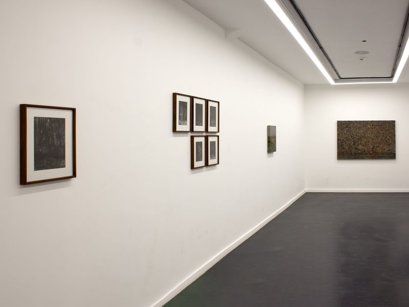 Enclosure, installation view