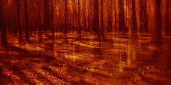 امیرحسین بی پروا، بدون عنوان، 1394