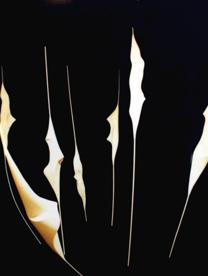 Amir Mobed, Untitled, 2002