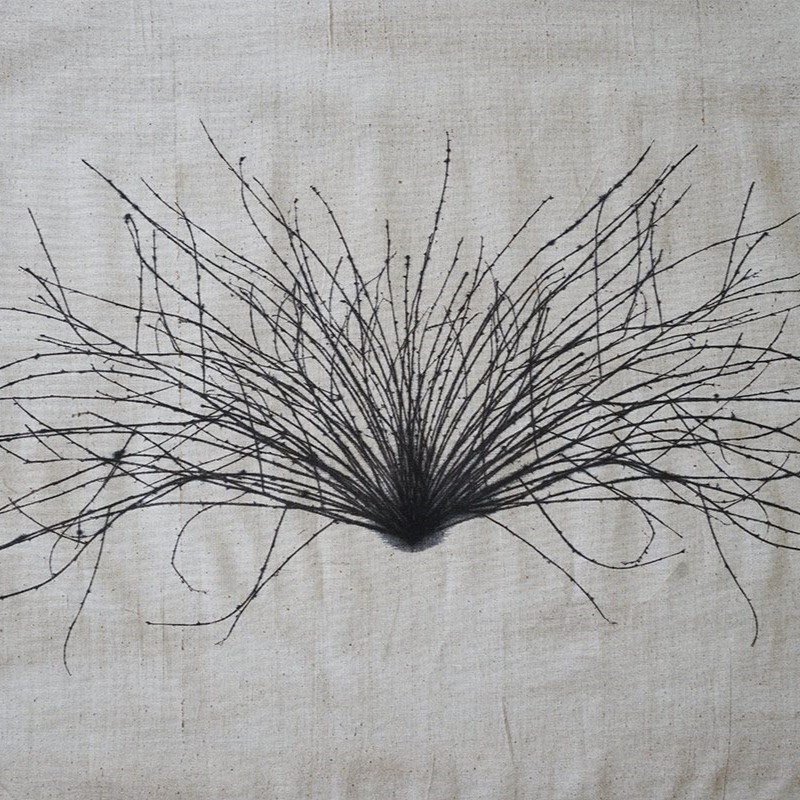 Metal Seed