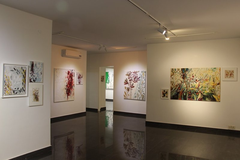 سپید هنگام روییدن، نمای چیدمان