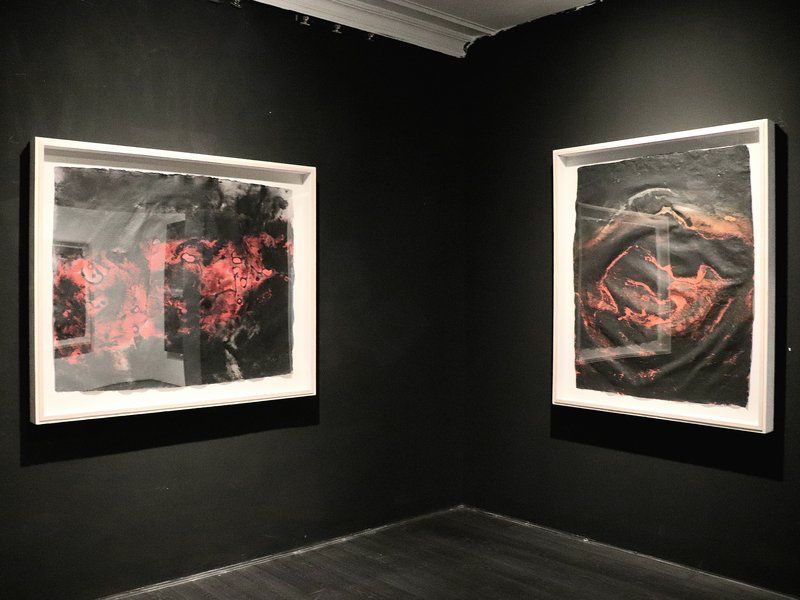 Vein, installation view