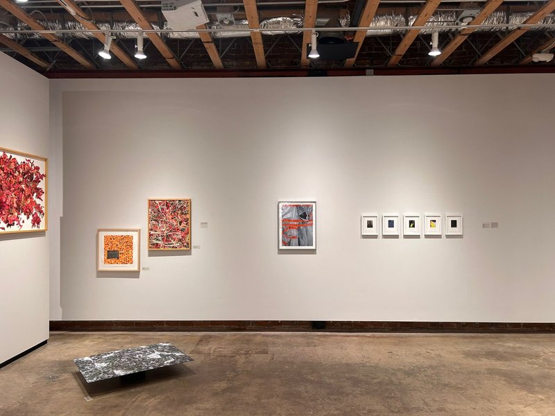 Land, Body & Archive, installation view