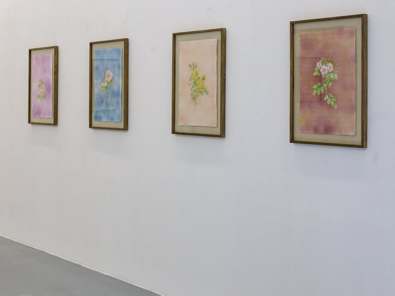 Under Preceding Trees, installation view