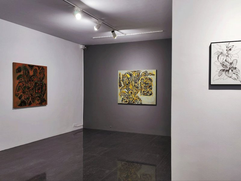 Flowers of the Nightmare, installation view