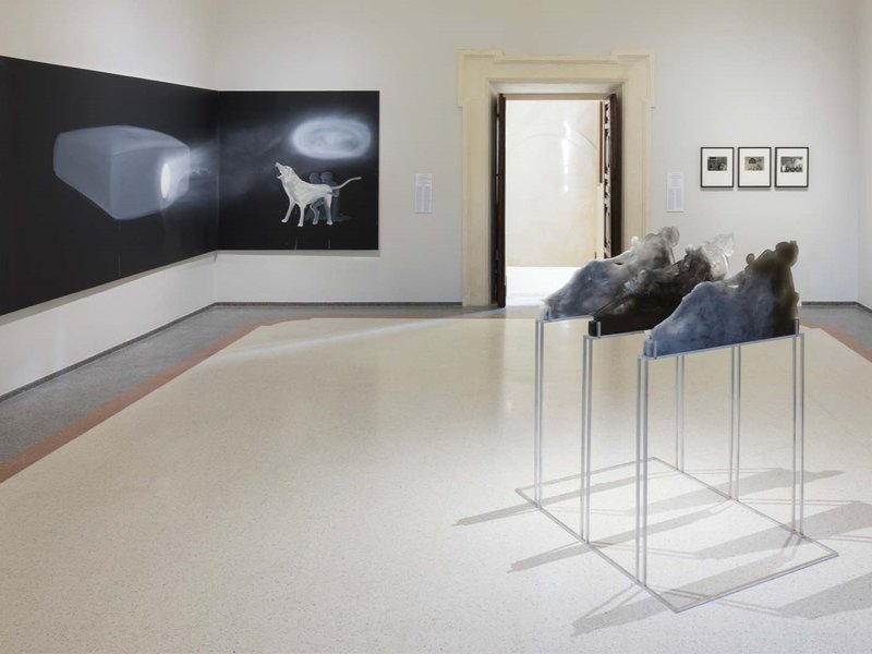 Afterimage, Installation view.