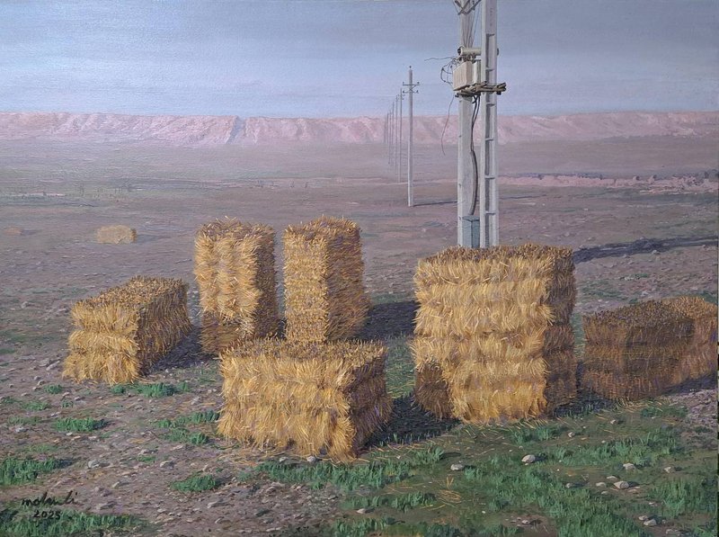 Hosein Mohammadi, Andimeshk, 2025