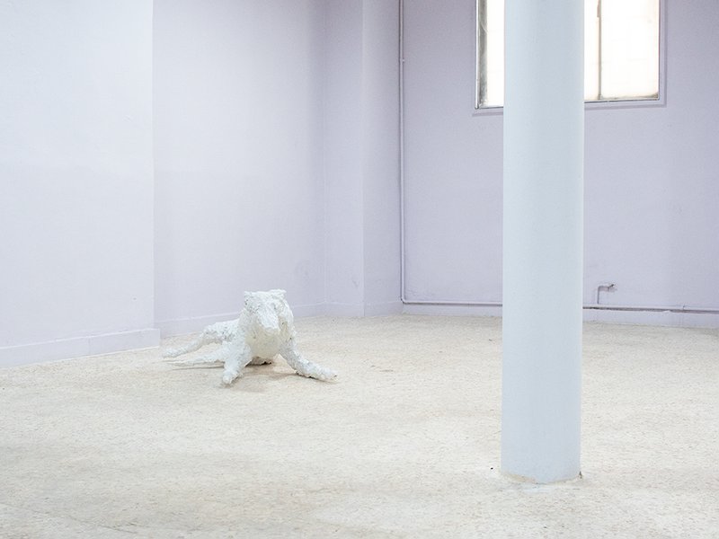 The Dinosaur Lost Her Bearings, installation view