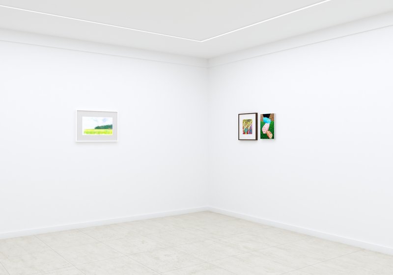 Spring Comes With Its Shadows - Online, installation view