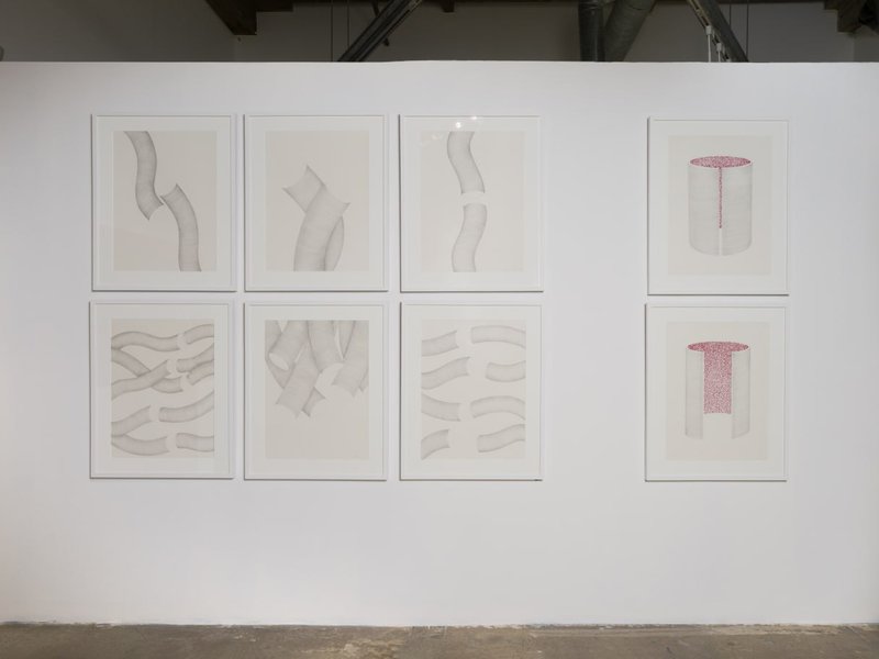 Extensions of A Collapsing Landscape, Intubated Futures, installation view