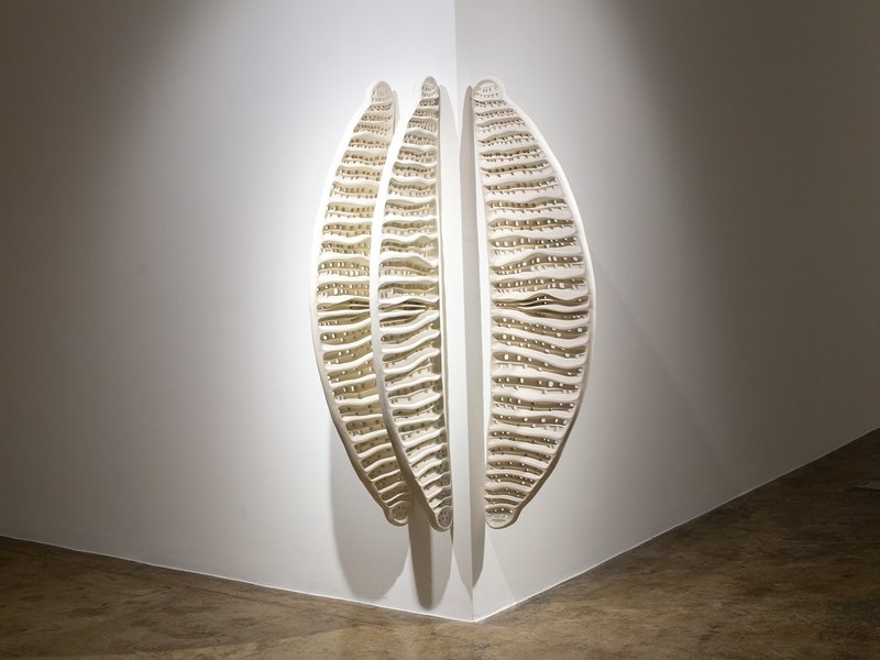 Biosis, installation view