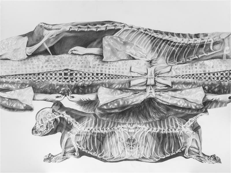 Tara Azarm, Untitled, 0
