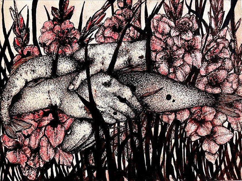 Bahare Noorizadeh, Untitled, 0
