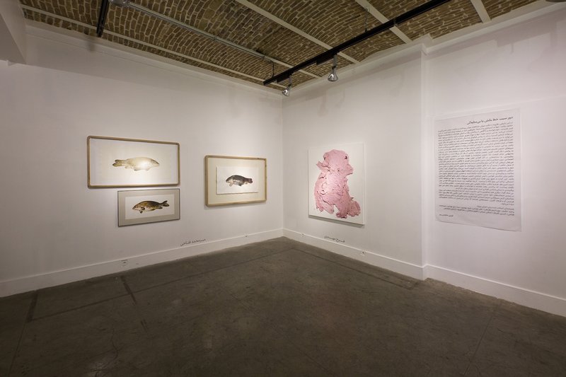 Encircle the Apple or Shadowlessness, installation view