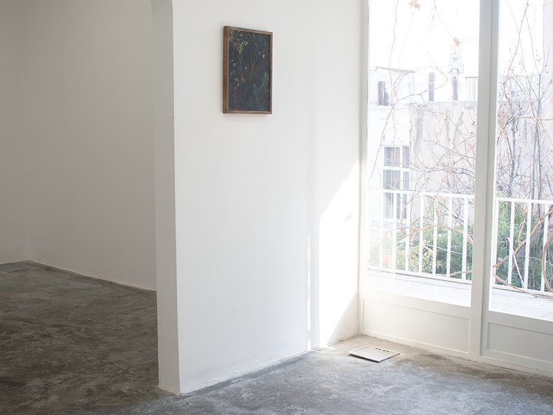 Shazdeh’s Garden, installation view